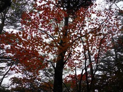 画像 033.jpg